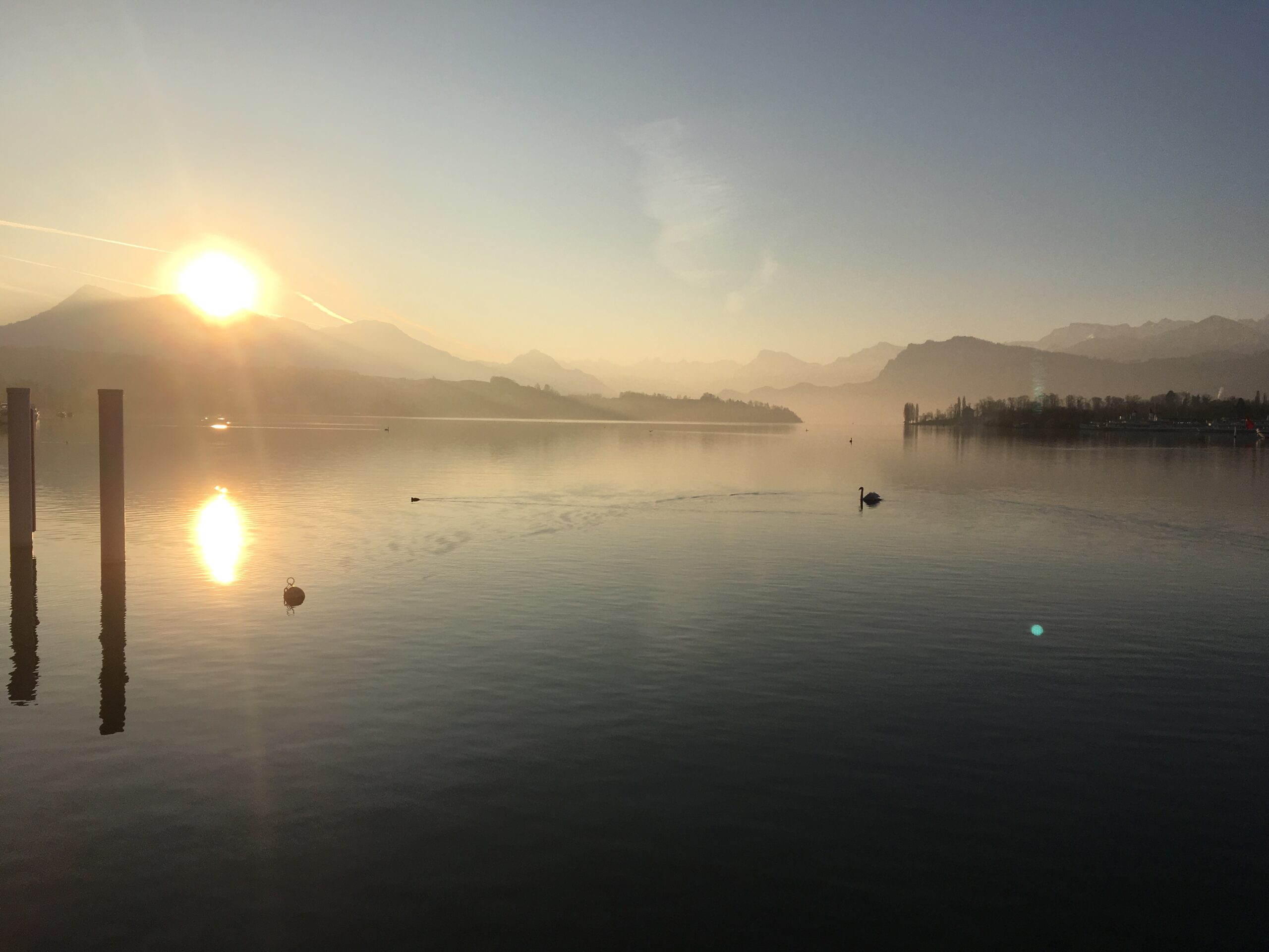 Kontakt FS Beratung & Treuhand GmbH